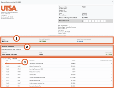 This is a screenshot of Rowdy Pay's real-time statement.